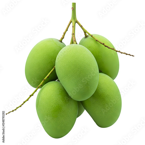 A bunch of green mangoes hanging freely on a white background.