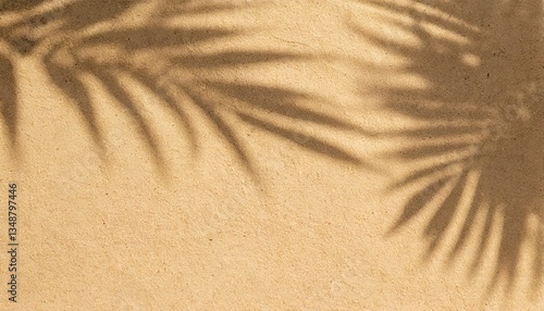 Palm tree leaf shadow on sand background, Natural shadow from tropical coconut palm leaves
