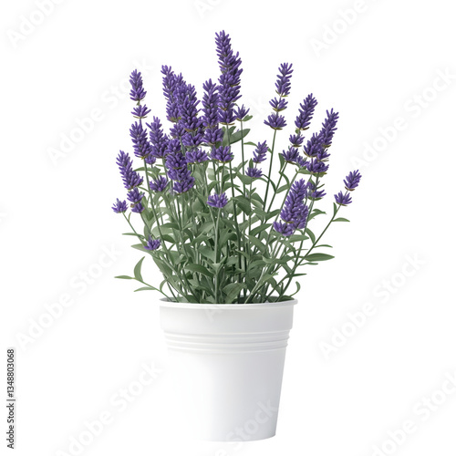 Highly detailed lavender plant in a white pot