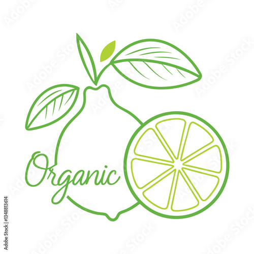 Fresh Lime Slice With Green Leaves and Organic Text, Stylized Green Outline