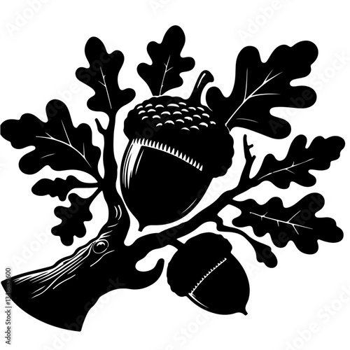 Acorn seed silhouette , oaknut seed silhouette