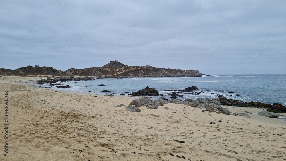 Fototapeta premium Breathtaking view of Chile’s Pacific coast, featuring rugged rocks, golden sandy beach, and waves under a bright sky. Perfect for travel, nature, and coastal landscapes.