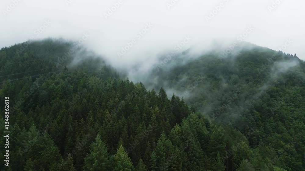 Fog rolling over green forested hills in Black Forest Germany. Fog rolling over green forested hills in Black Forest Germany.