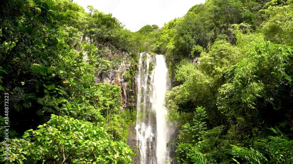 Maui’s famous waterfall cascades down the lush mountainside, surrounded by tropical greenery, creating a breathtaking natural spectacle that draws visitors to its serene beauty and stunning scenery Maui’s famous waterfall cascades down the lush mountainside, surrounded by tropical greenery, creating a breathtaking natural spectacle that draws visitors to its serene beauty and stunning scenery
