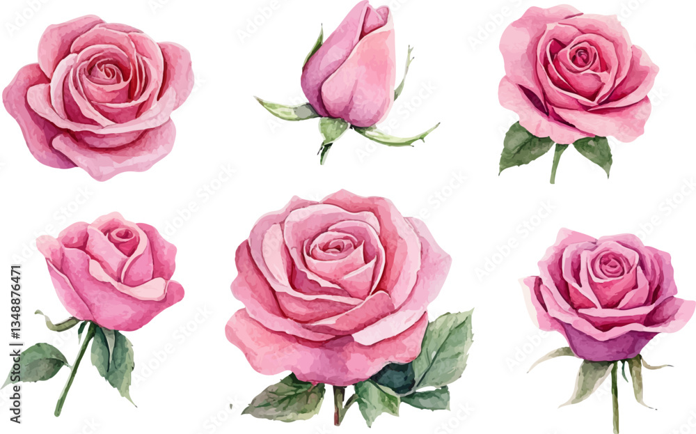 Fototapeta premium set of pink roses