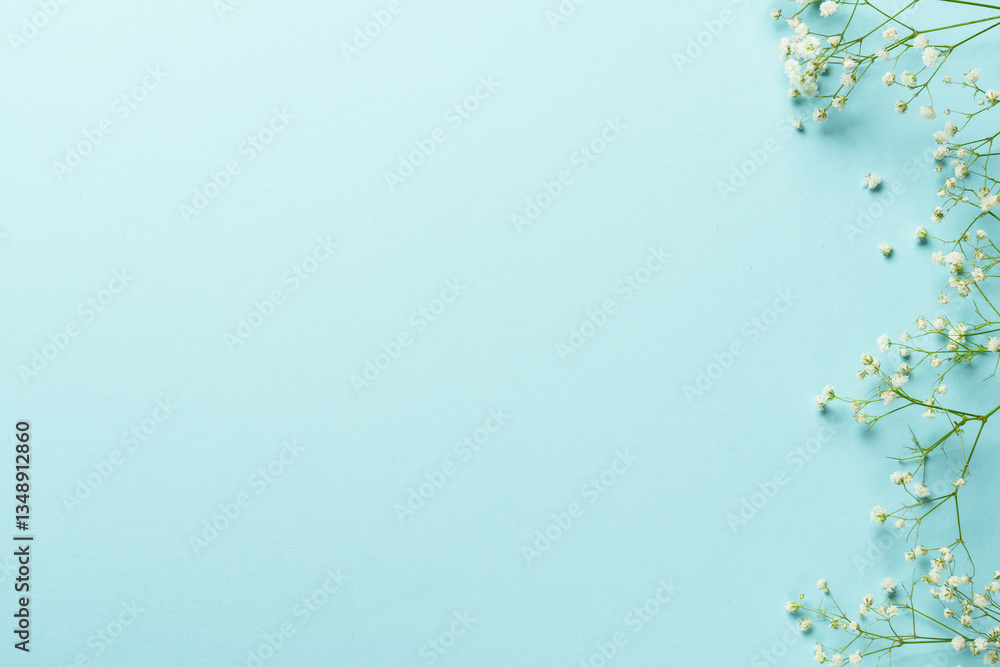 Spring background with white flowers on blue.