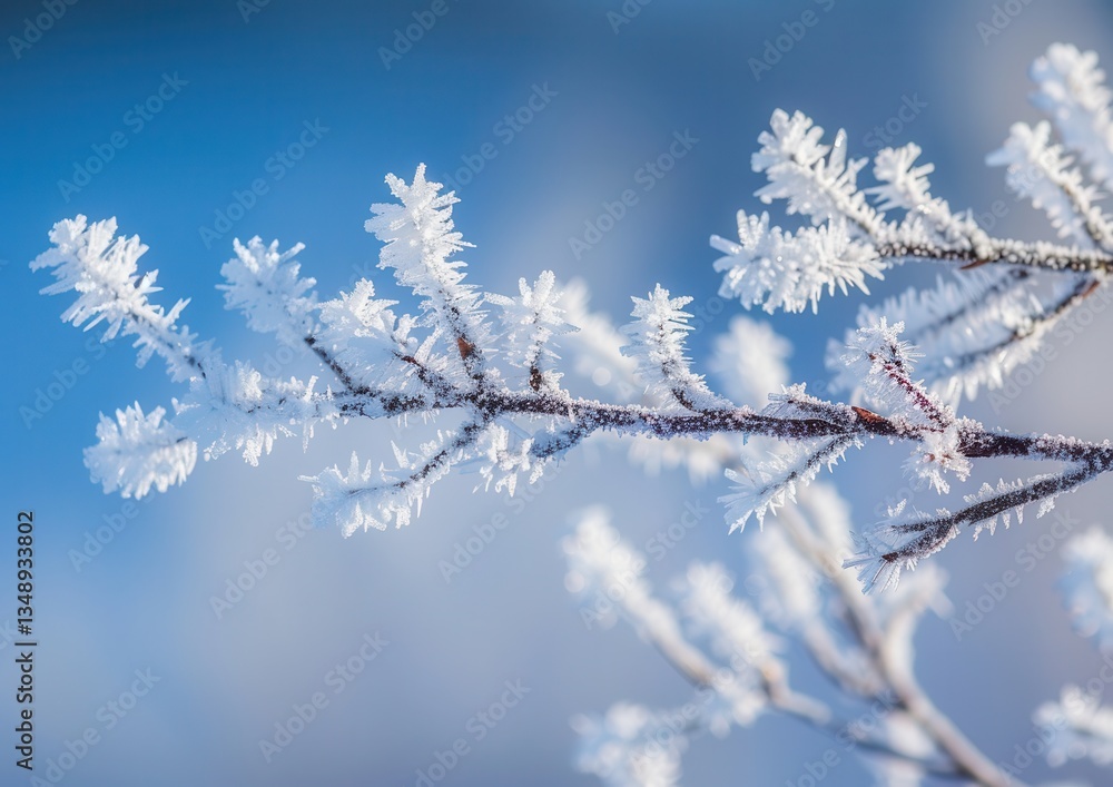 Obraz premium Winter wonderland: Frosty branches against a clear blue sky.