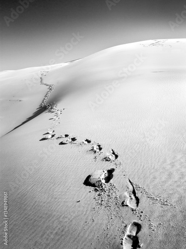 Footprints in the Sand – A Journey into the Unknown (Black and White)
