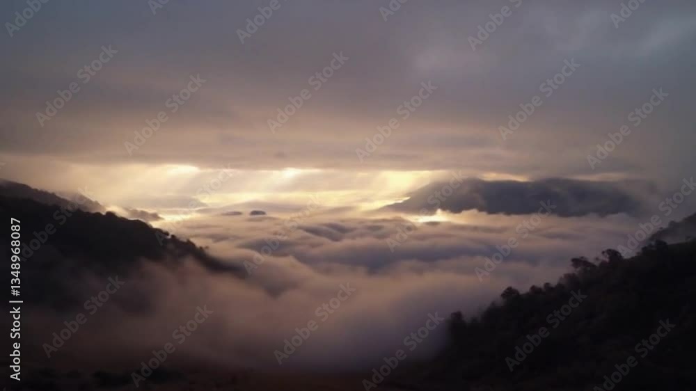 Soft Glowing Fog Rolling Over Hidden Valley, Fog Shimmers With Otherworldly Light Creating Mystical Serene Landscape Soft Glowing Fog Rolling Over Hidden Valley, Fog Shimmers With Otherworldly Light Creating Mystical Serene Landscape