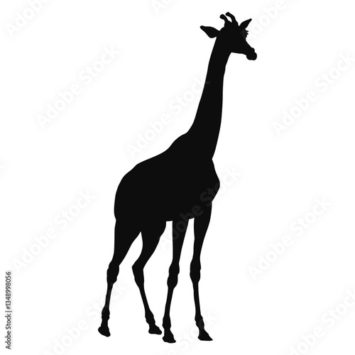 Vector silhouette of a realistic Giraffe - black animal illustration, isolated on white background