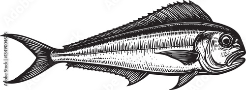 Fish sea fishing hand drawn vector illustration