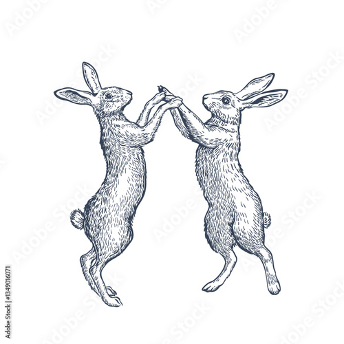 Two hares standing on hind legs facing each other. Line art vector illustration