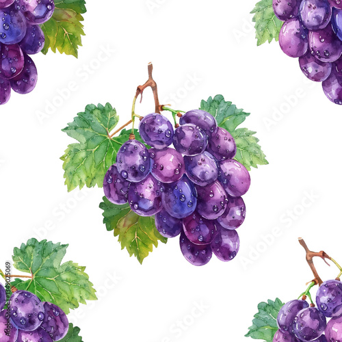 Ripe bunch of purple grapes with vibrant green leaf beautiful illustration. Ideal for food-related designs, wine labels, kitchen decor, organic product branding. Violet grapes fruit vector