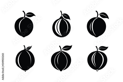Nutmeg – Myristica fragrans silhouette vector illustration