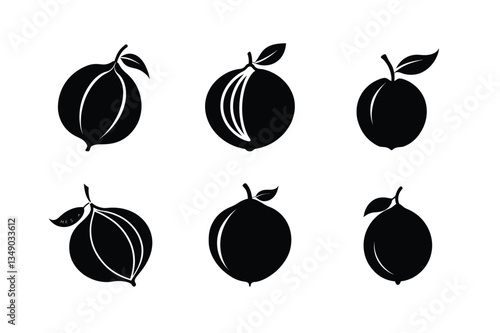 Nutmeg – Myristica fragrans silhouette vector illustration