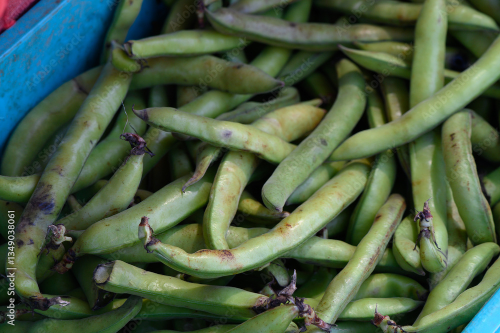 Fresh green fava beans piled high in a rustic market basket during the vibrant farmers market Fresh green fava beans piled high in a rustic market basket during the vibrant farmers market