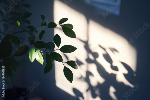 The tranquil beauty of sunlit shadows from a potted plant, creating an inviting indoor garden scene.