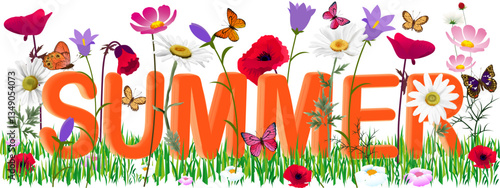 summer flowers poppy; chamomile; bluebell; cosmea on the background of the letters summer and the butterfly on a transparent background