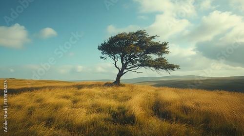 A solitary tree stands tall amidst expansive golden grass under a blue sky, capturing nature's serene beauty.
