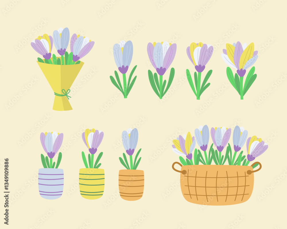 Spring crocus flower vector set – hand-drawn floral illustrations with potted plants and bouquets Spring crocus flower vector set – hand-drawn floral illustrations with potted plants and bouquets