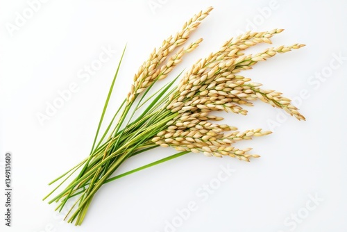 Golden sheaf of rice grass against white background overhead flat lay photography composition photo