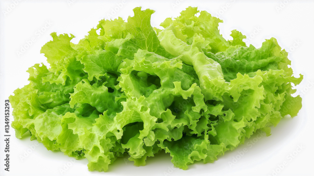 Fresh green lettuce leaves arranged on a white background Fresh green lettuce leaves arranged on a white background
