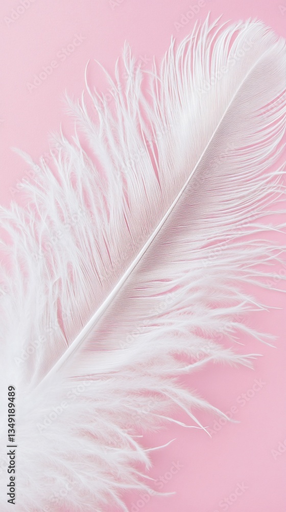 Fototapeta premium White ostrich feather on pink background, elegant design element