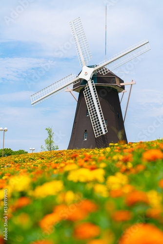 windmill in the flower park