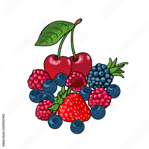 Vector Colorful Illustration of Set of Berries Isolated on White Background