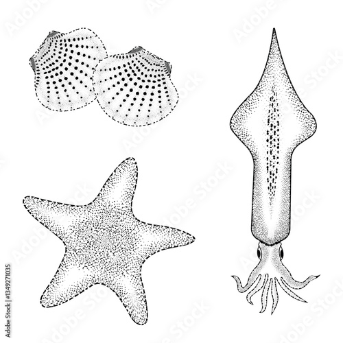vector illustration of a fish