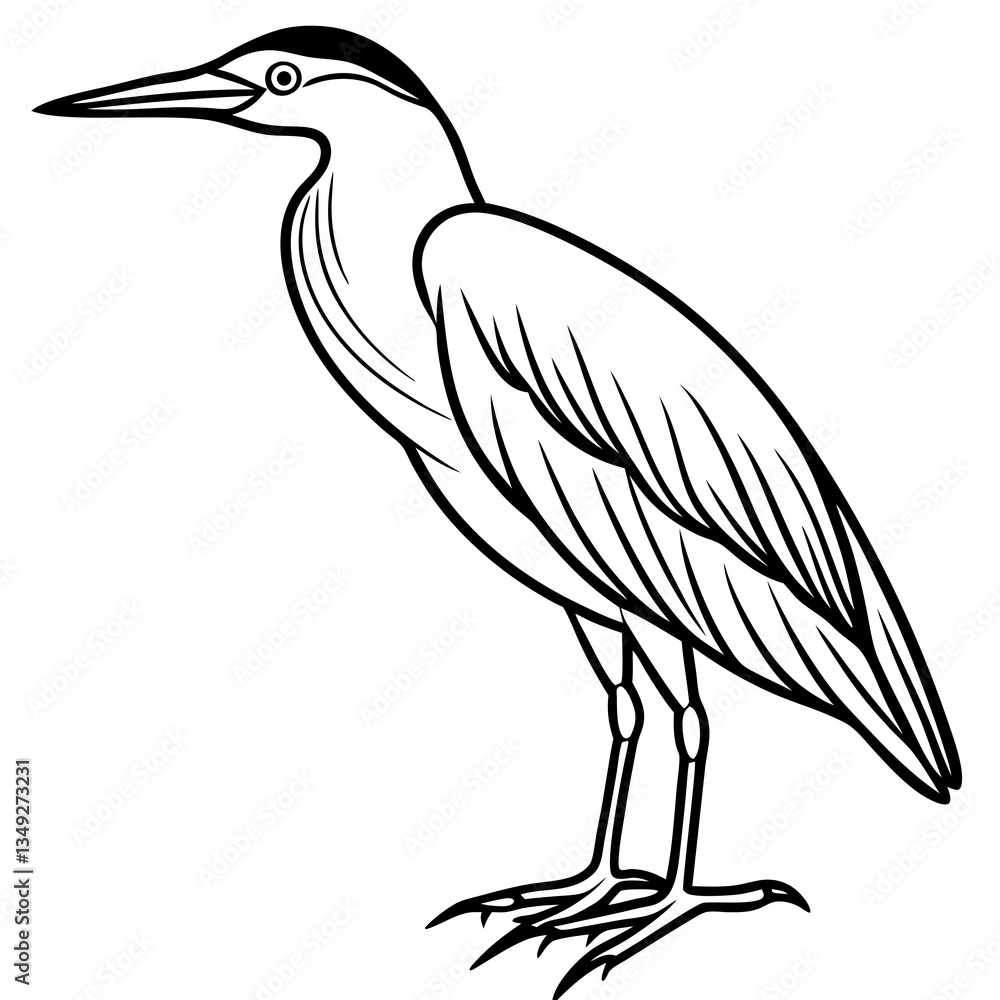 Fototapeta premium Majestic Heron Illustration: An elegant illustration of a heron, showcasing its slender form and long beak in intricate detail, perfect for educational or artistic uses.