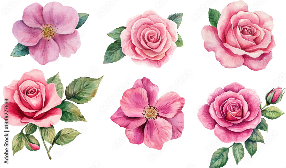 Naklejka premium pink roses on white background
