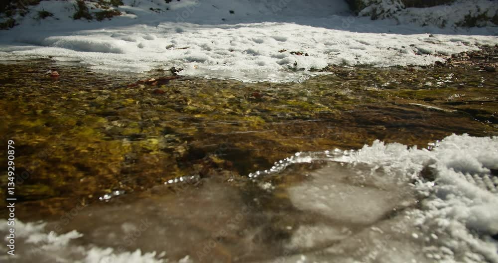 crystal clear mountain stream | snow and ice formations around | 4K, 12 bit video crystal clear mountain stream | snow and ice formations around | 4K, 12 bit video