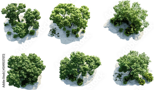 3d render aerial view canopy trees parks isolated on transparent png, green trees, nature, park landscape, outdoor scene, foliage, natural park, lush vegetation, environmental view