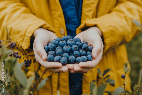 Someone holding a handful of blueberries in their hands