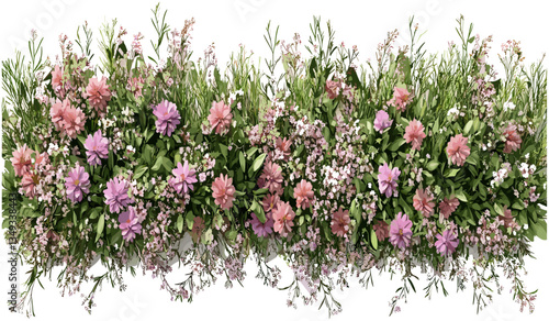 Flowers blossoms vector aerial view, row of cutout blooms, transparent background png, spring floral design, nature illustration, botanical art, vibrant blossoms