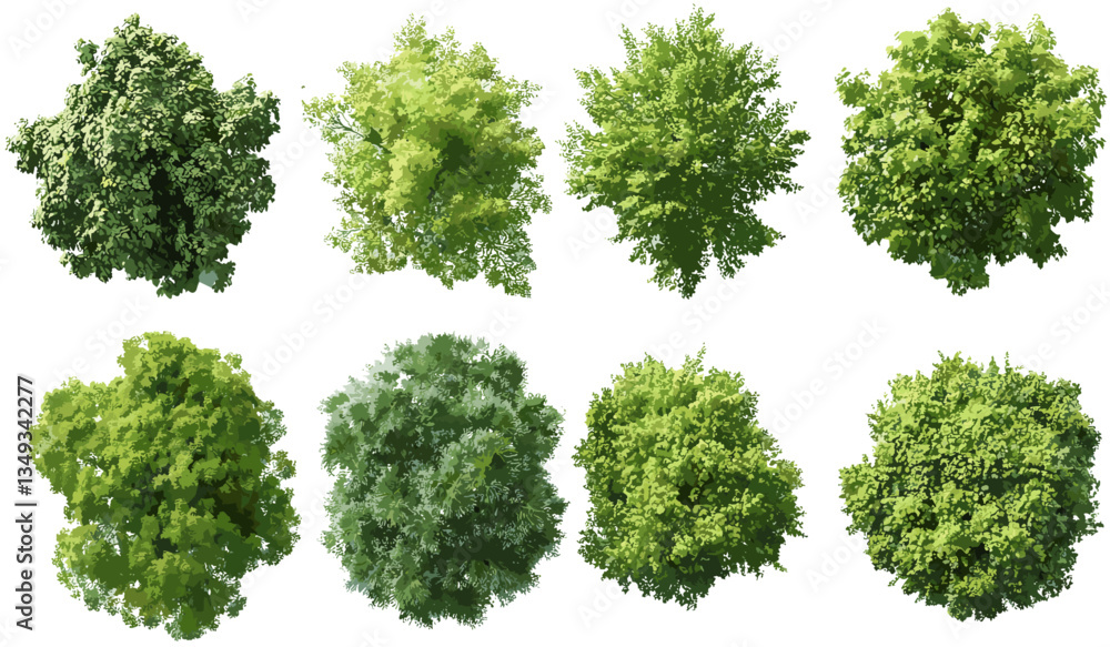 Vector aerial view of naturally grown trees, landscaping set, transparent background PNG, forest landscape, nature scene, environment, outdoor greenery, landscape design, eco-friendly Vector aerial view of naturally grown trees, landscaping set, transparent background PNG, forest landscape, nature scene, environment, outdoor greenery, landscape design, eco-friendly
