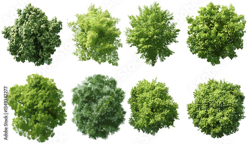Vector aerial view of naturally grown trees, landscaping set, transparent background PNG, forest landscape, nature scene, environment, outdoor greenery, landscape design, eco-friendly