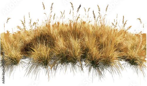 Vector Aerial view savanna farming, grass row, realistic PNG on transparent backgrounds, agriculture land, green meadow, field pattern, top-down landscape, farmland