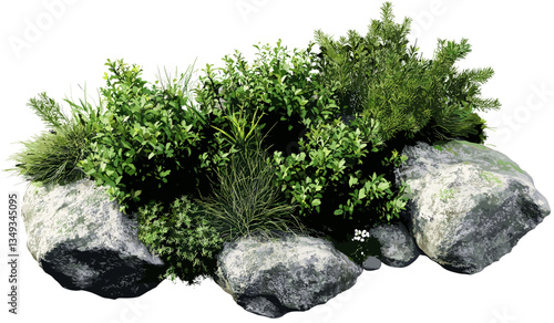 Aerial view vector shrubs, plants with grassy and rocks, isolated transparent background, PNG, landscaping, top view, greenery, garden, nature, outdoor decor, environment