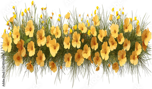 Yellowed flowery blossoms row, transparent cut-out vector illustration, aerial view, floral PNG, spring flowers, nature background, plant art, blossom pattern, botanical graphics.