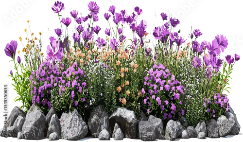 Blooms vector flowers, transparent backgrounds, gardening illustration, eco-friendly, environmental png, plant art, nature design, cut-out floral, spring, green garden, vector