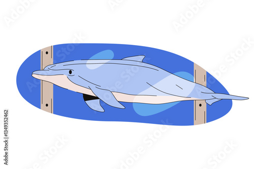 Dolphin in zoo pool or vector intelligent fish in dolphinarium. Marine mammal swimming in zoo water. Aquatic and sonar predator. Social swim fauna or underwater swimmer. Ocean and sea wildlife