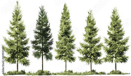 Vector forestry trees cut out shapes for landscape illustration on transparent background png, nature, environment, greenery, woodland, forest silhouette, outdoor, eco, scenery
