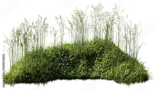 Green grass field PNG, vector cut out transparent background, nature grass, fresh green field, landscape PNG, isolated grass field, outdoor nature image, summer grass