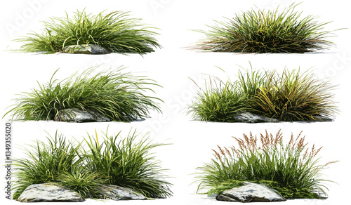 Vector nature grass illustration, PNG file, cut-out design, fresh grass, montage, transparent background, natural elements, environmental texture, outdoor nature