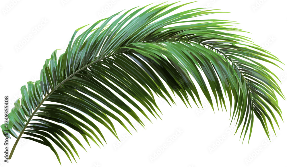 Fototapeta premium Palm leaves vector cut out foliage transparent backgrounds, tropical plant design, exotic nature, green leaves, summer background, palm branches, jungle decoration, tropical foliage.