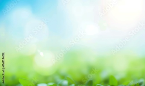 World Environment Day concept: Abstract blurred beautiful green and blue sky  background
