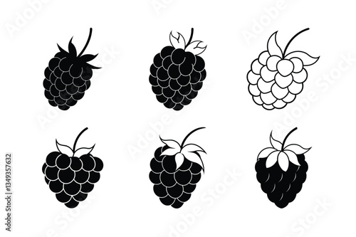 Raspberry – Rubus idaeus line art vector illustration