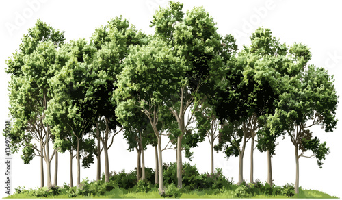 Eco trees group cutout landscape woods illustrations, transparent background, nature, forest, green eco-friendly, outdoor scenery, environment, natural, sustainable, woodland